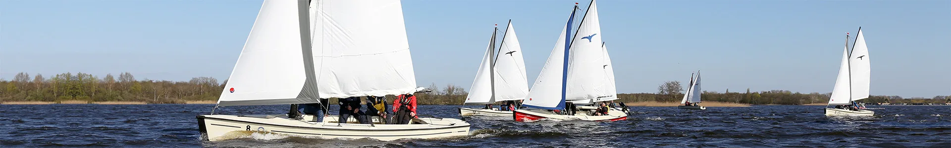 Sail Wise bedrijvenregatta