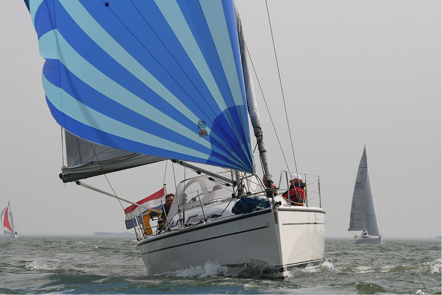 SailWise cup